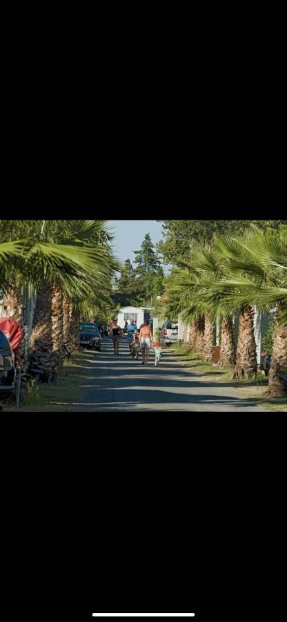 Camping 4 Etoiles Le Bosc Saint Cyrpien Mobil Home Eksteriør bilde